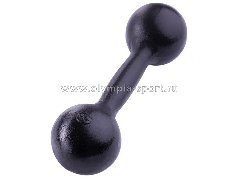 Гантель литая 6 кг